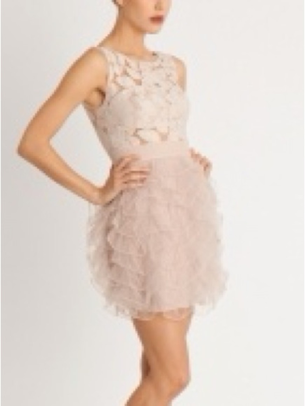 BCBGeneration Blush Pink Lace Bodice Ruffle Mini Dress